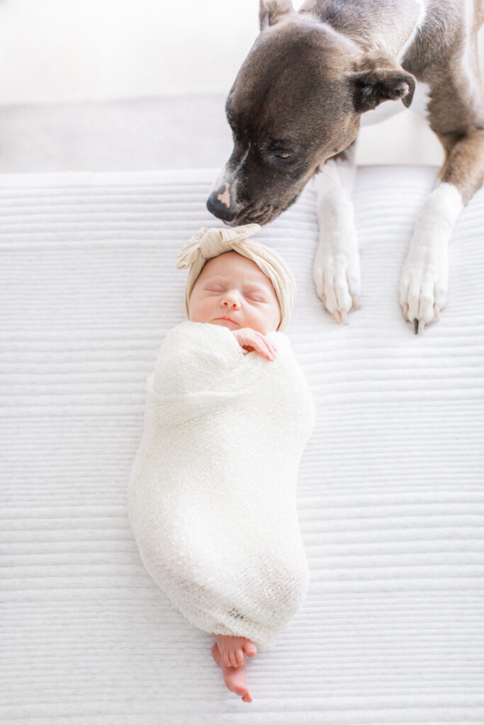 Puppy love by Orlando luxury newborn photographer.