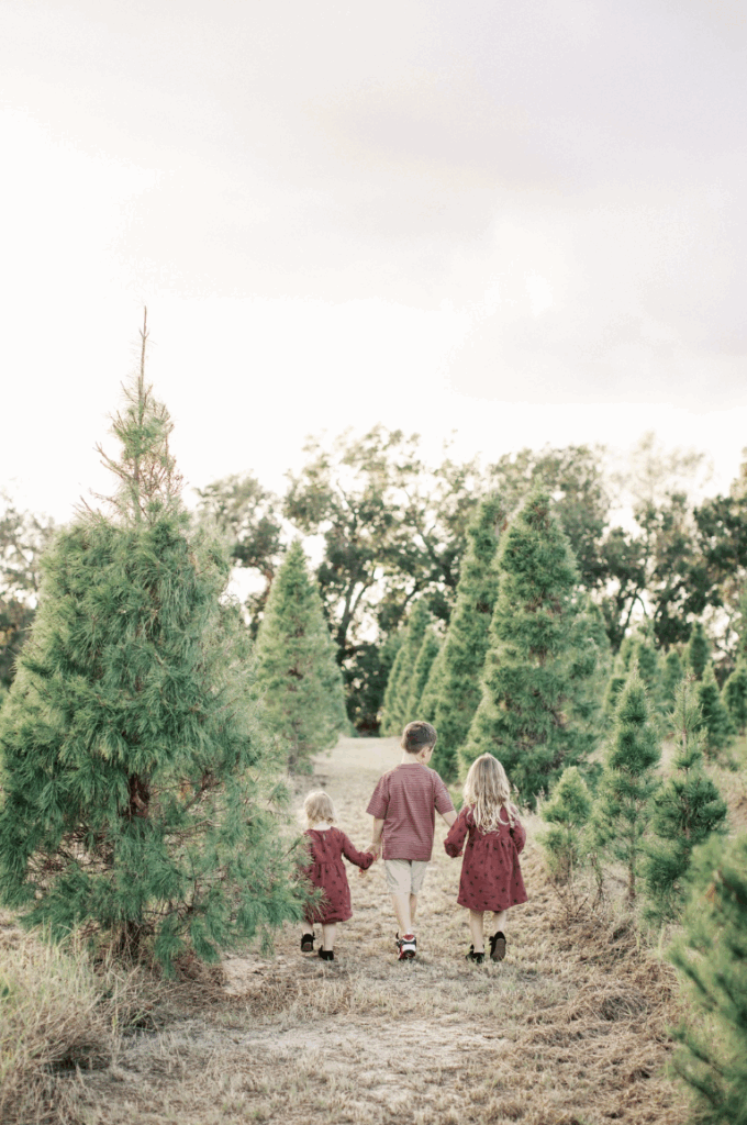 Holiday portrait sessions at the Christmas tree farm in Orlando, FL.