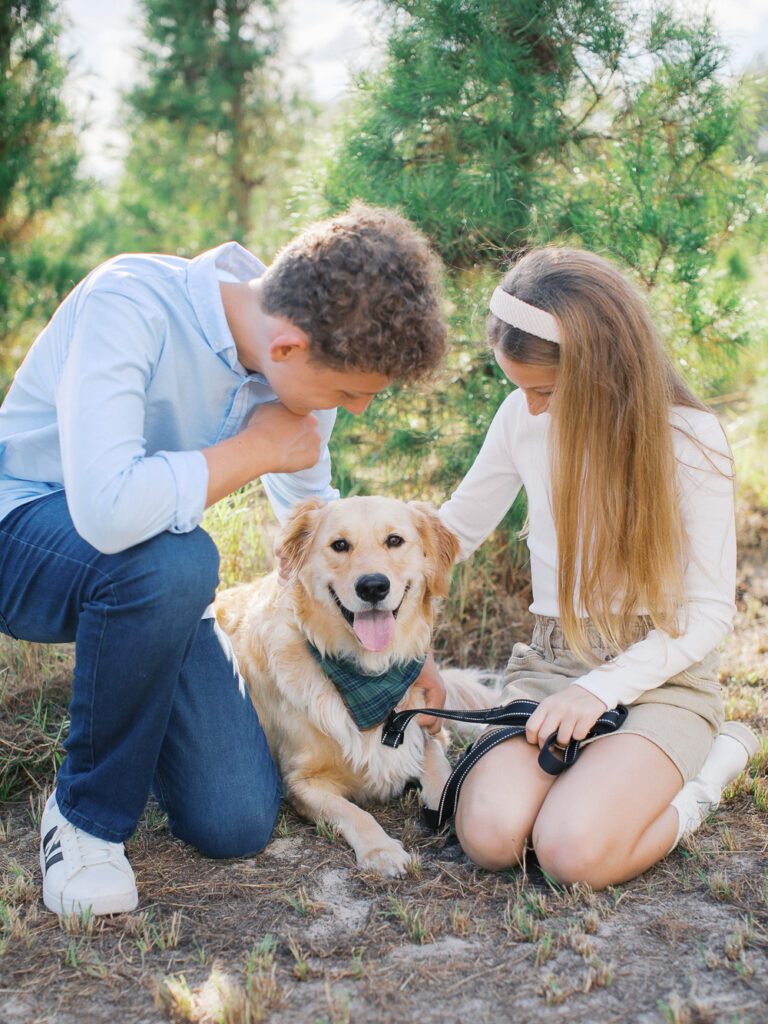 Holiday portrait sessions at the Christmas tree farm in Orlando, FL.